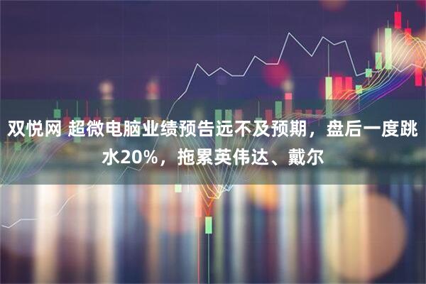 双悦网 超微电脑业绩预告远不及预期，盘后一度跳水20%，拖累英伟达、戴尔