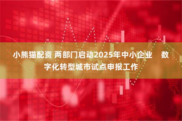 小熊猫配资 两部门启动2025年中小企业    数字化转型城市试点申报工作