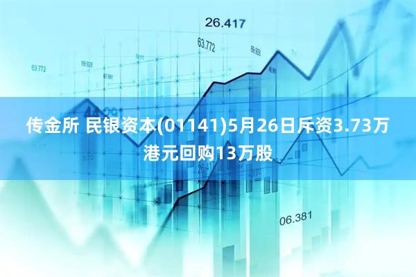传金所 民银资本(01141)5月26日斥资3.73万港元回购13万股