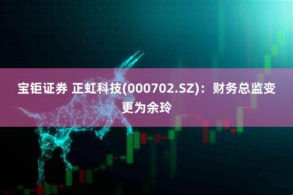宝钜证券 正虹科技(000702.SZ)：财务总监变更为余玲