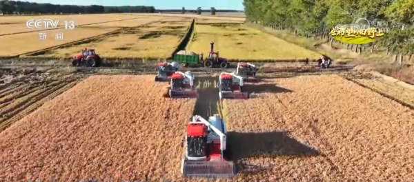 搭搭网 希望的田野“丰”光美&#32;“订单农业”托起农户“稳稳的幸福”