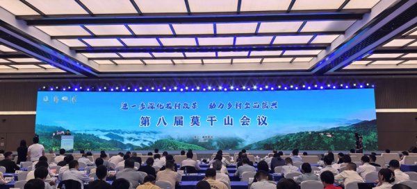 A股策略 “中国黄茶产业振兴令”在德清发布!莫干山会议聚力打造富民“金叶子”